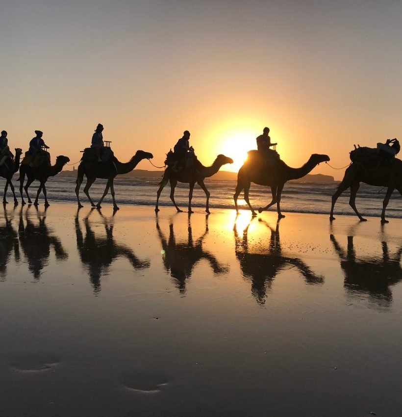 3-hour-dromedary-ride
