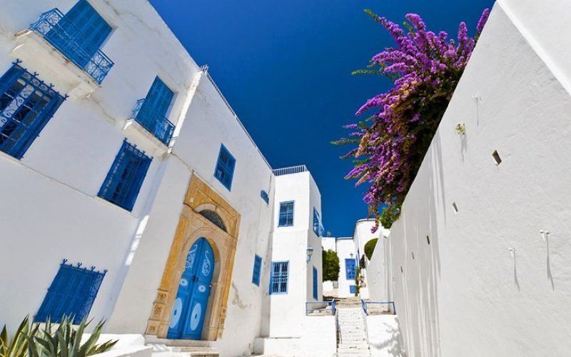tunisia-tunis-sidi-bou-said-street-scene.jpg
